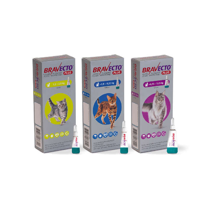 Bravecto Plus for Cats