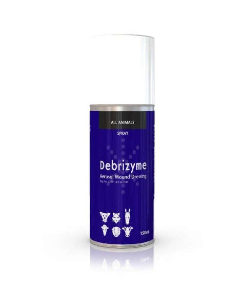 Debrizyme 150ml