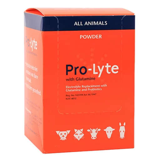 Pro Lyte With Glutamine 10x20g sachets