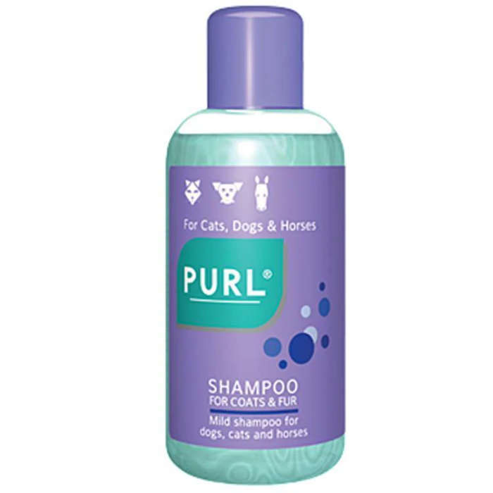 Purl Shampoo Regular 500ml