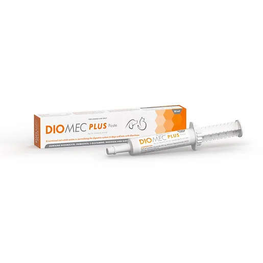 Diomec Plus Paste for Cats & Dogs