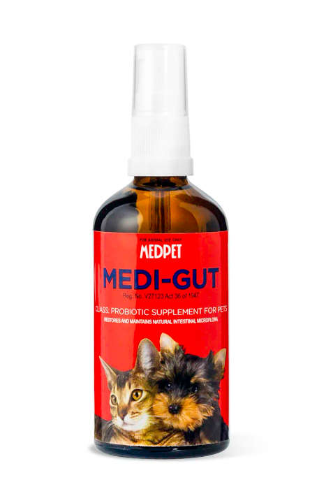 Medi-Gut 100ml