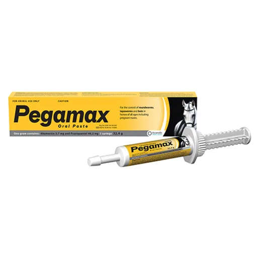 Pegamax 32.4g Paste