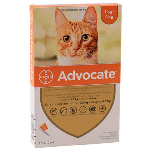 Advocate Cat