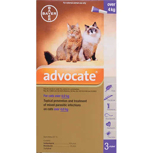 Advocate Cat