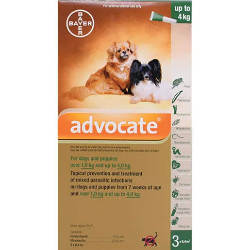 Advocate Dog