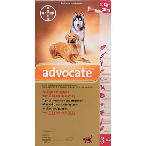 Advocate Dog