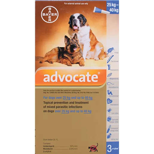 Advocate Dog