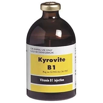 Kyrovite B1 100ml