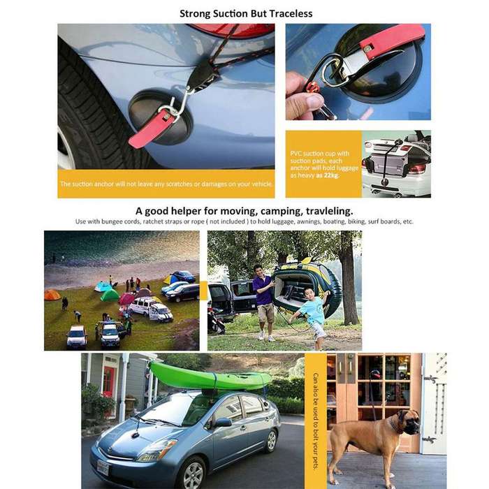 Multifunctional Suction Cup Anchor Tie Strap