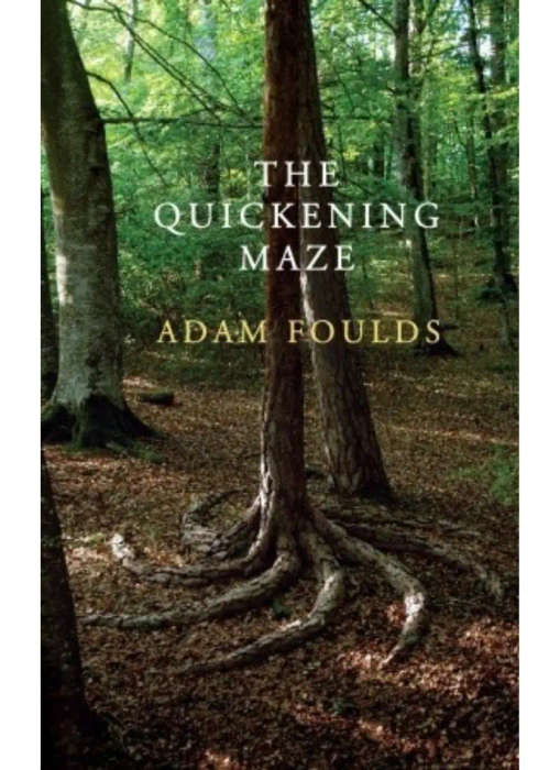 The Quickening Maze
