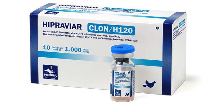 HIPRAVIAR CLON/H120 vaccine - 0.10kg