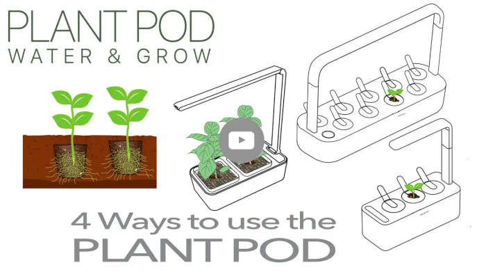Seed Your Own - Plant Pod - Pack of 10