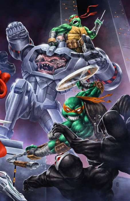 Teenage Mutant Ninja Turtles Issue # 6the 616-b