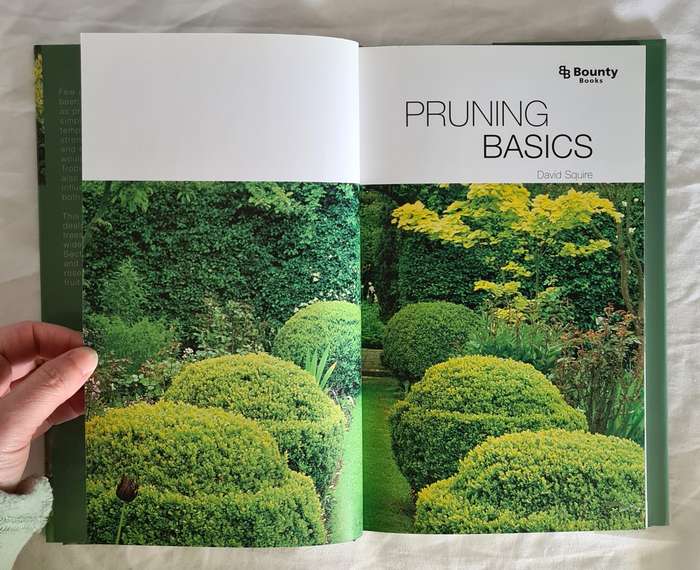 Pruning Basics