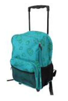 Journal 600D Boys Dragon Trolley Backpack Green