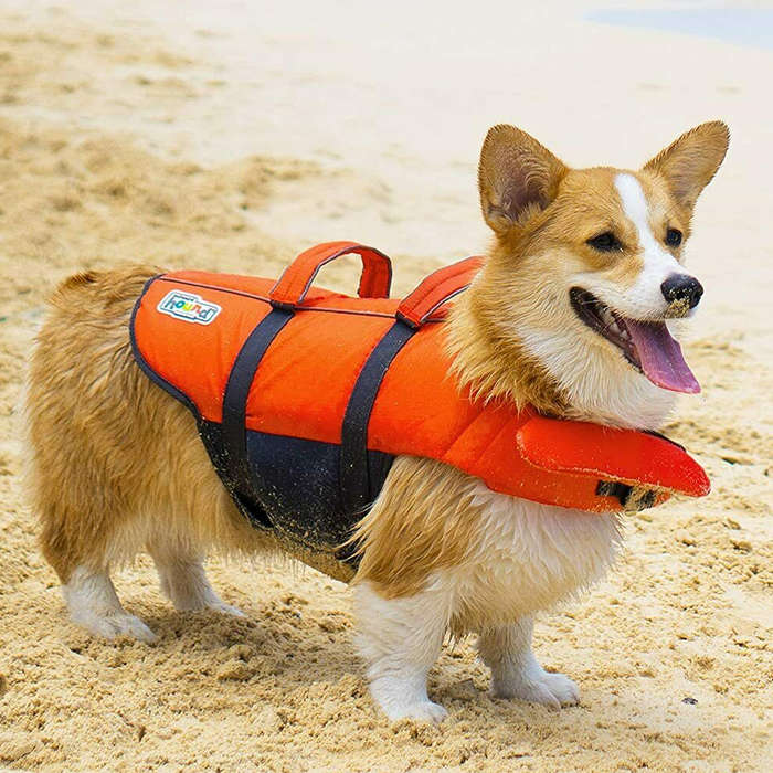 Outward Hound Ripstop Orange Life Jacket