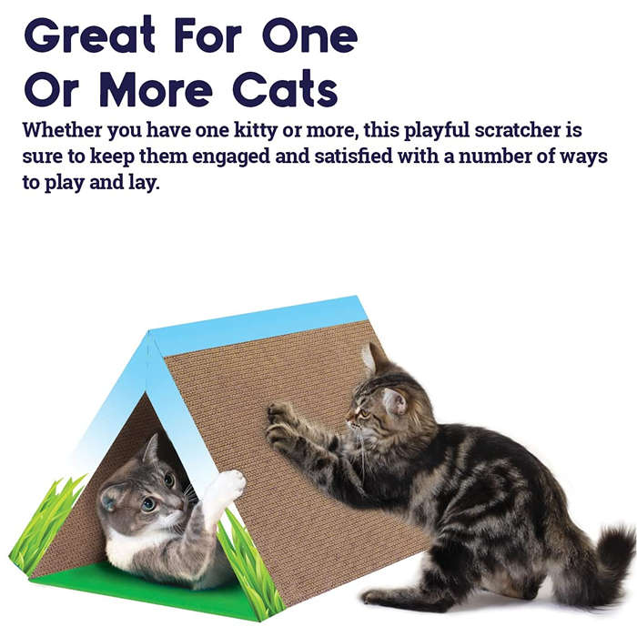 Fold Away Scratch Tunnel