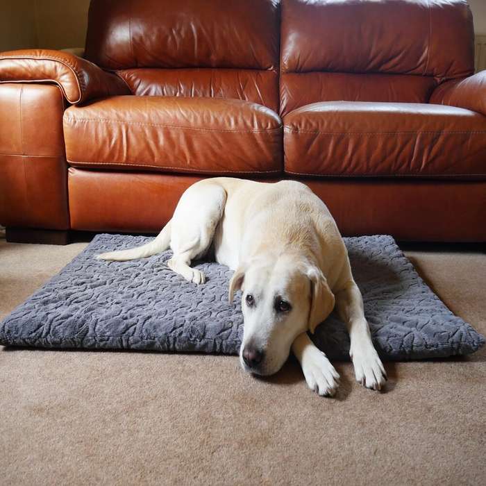 Rosewood Orthopedic Bone Plush Mattress X-Large