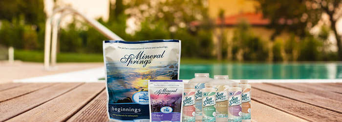 SALT POOL BIOGUARD MINERAL SPRINGS BEGINNINGS
