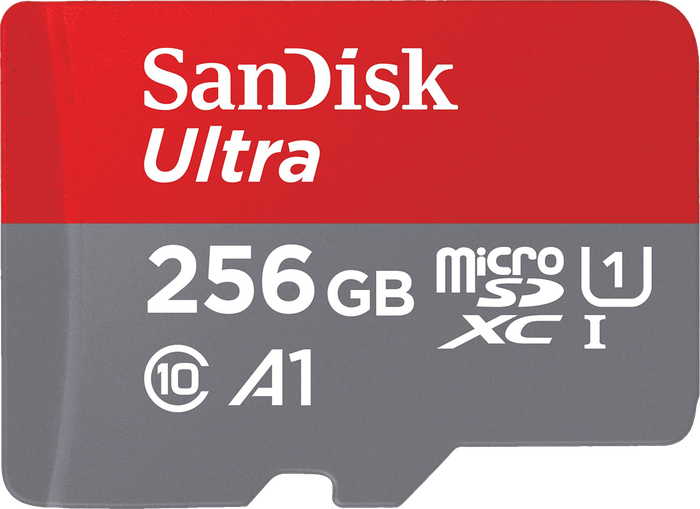 256GB Sandisk Ultra microSDXC - Class 10 (Micro SD / SDXC)(Pwned) - SanDisk 100G