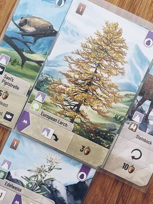 Forest Shuffle: Alpine Expansion (New) - Lookout Games 200G