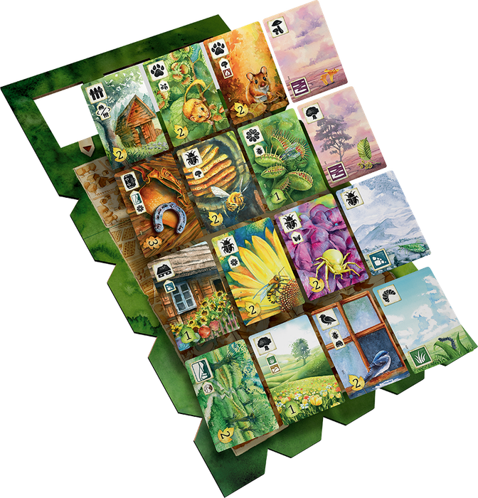 Meadow (New) - Rebel Studio 1800G