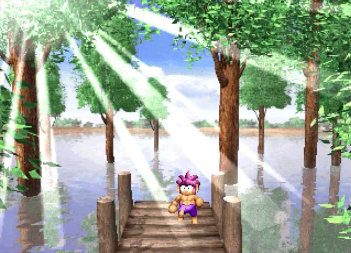 Tomba! - Special Edition (NTSC/U)(PS5)(New) - Limited Run Games / LRG 90G