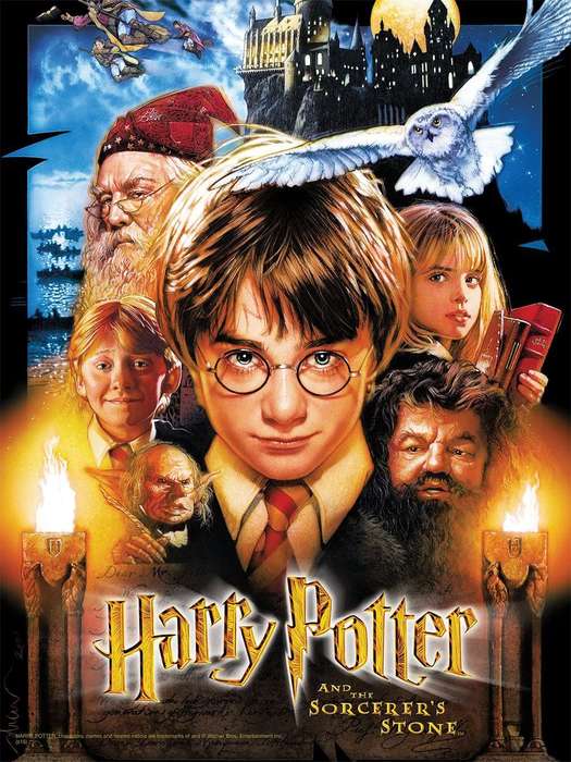 Harry Potter and the Sorcerer's Stone - Collector's 550 Piece Puzzle (New) - USAopoly / The OP