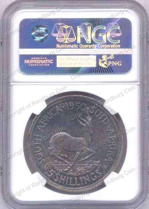 1950_SA_Crown_UNC_Det_Srf_Hrlns_revn.jpg