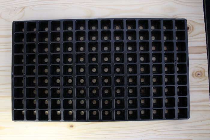 Jiffy Tray (60 or 126 Cavities)