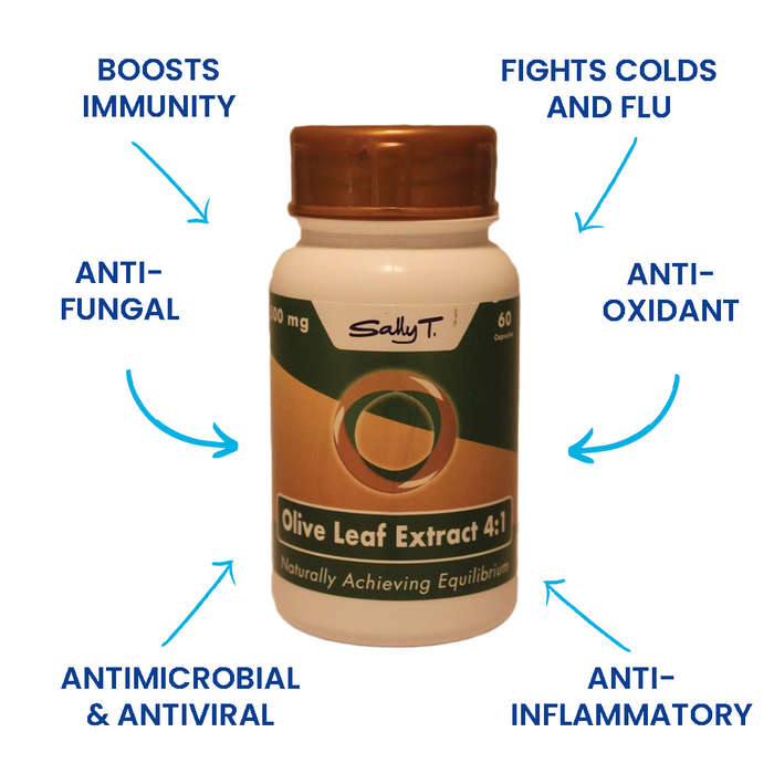 Sally T. Olive Leaf Extract 4:1, 500mg/capsule, 60 Capsules - Immunity Protection