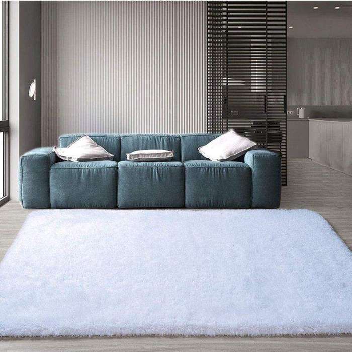 SMTE Luxury Ultra Soft Fluffy Rug Carpet with keychain