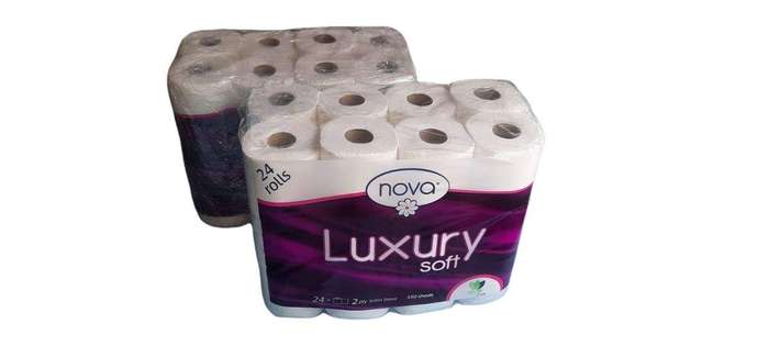 SMTE 48 Pack - 2 ply Toilet Paper with keychain