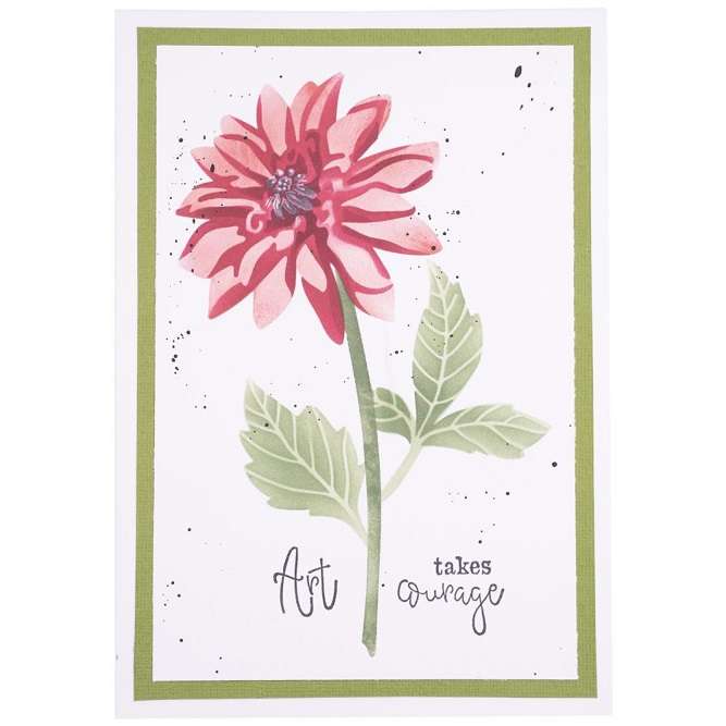 Studio Light - Dahlia