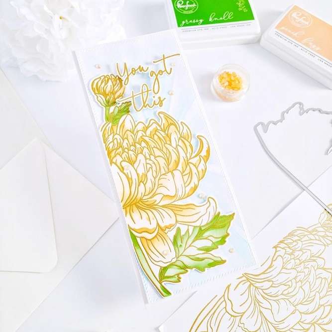 Pinkfresh - Chrysanthemum Layering