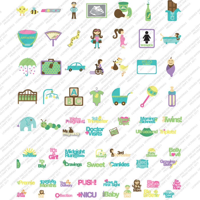 Cricut Lite : 9 months