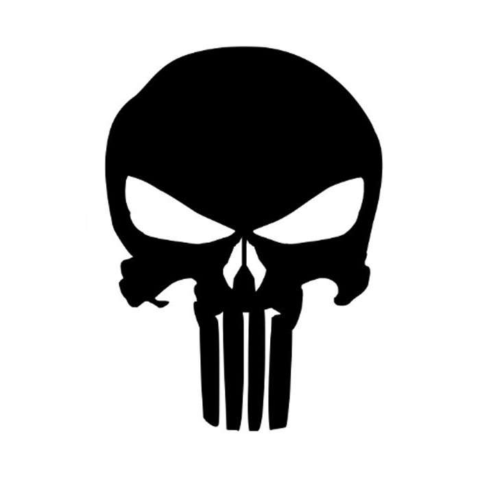 DZI Punisher Vinyl Transfer Sticker - 150mm - Various White