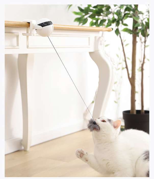 Retractable Cat Bobble