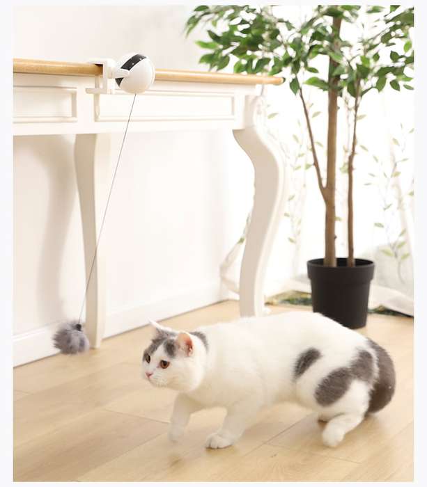 Retractable Cat Bobble