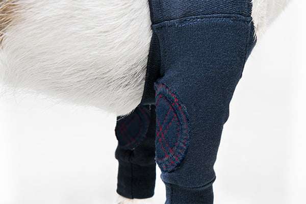 MPS - Veterinary Range Double Sleeve DOG