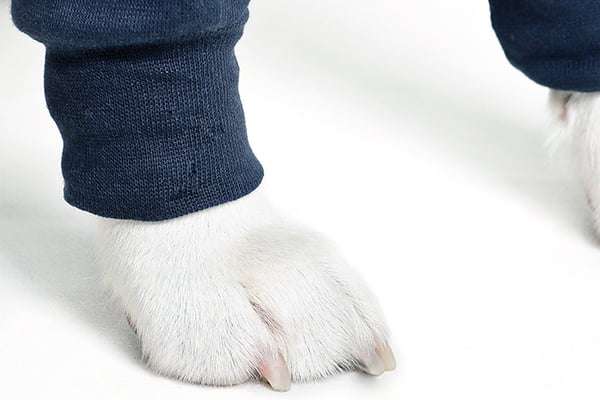 MPS - Veterinary Range Double Sleeve DOG