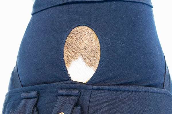 MPS - Veterinary Range Shirt 4 in 1 DOG