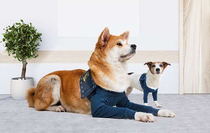 MPS - Veterinary Range Double Sleeve DOG