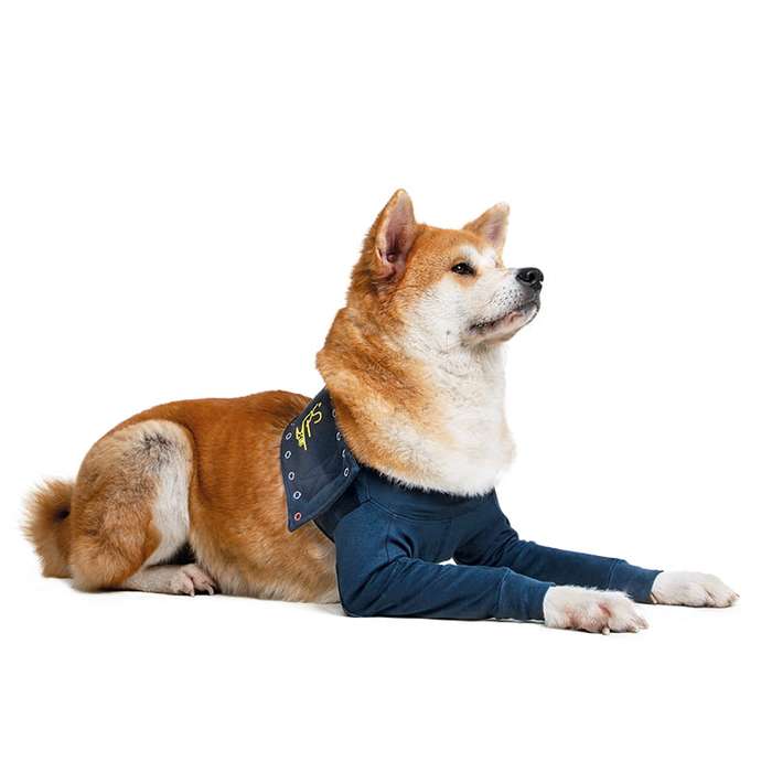 MPS - Veterinary Range Double Sleeve DOG