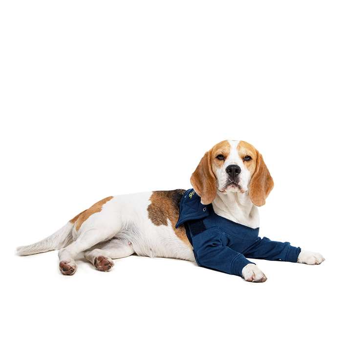 MPS - Veterinary Range Double Sleeve DOG