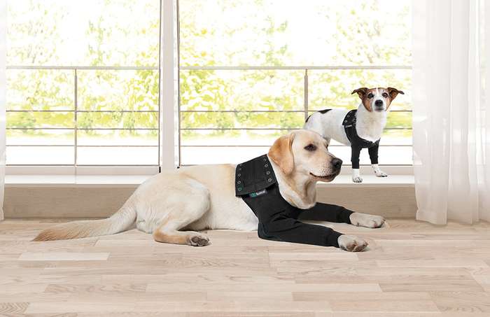 Suitical - at home Recovery Double Sleeve - DOG