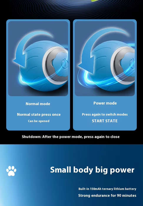 Zippy Pounce & Bounce Tail Chaser  Pure Cat Chaos