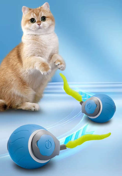 Zippy Pounce & Bounce Tail Chaser  Pure Cat Chaos