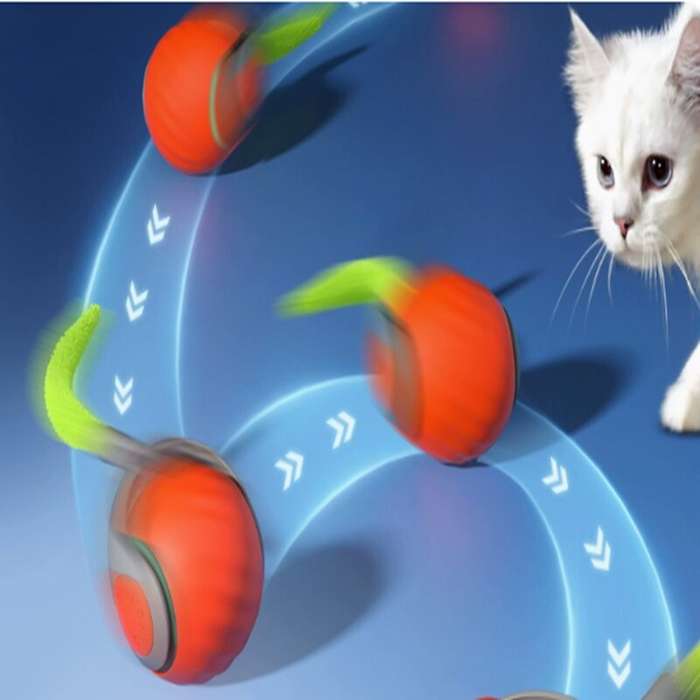 Zippy Pounce & Bounce Tail Chaser  Pure Cat Chaos